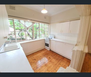 66 Ewart Street, Marrickville, NSW 2204 - Photo 4