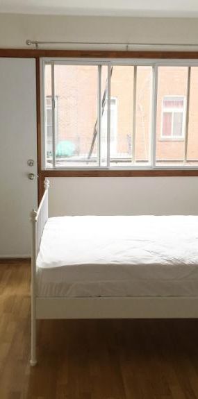 1 1/2 - Montréal (Le Plateau Mont-Royal) - 1 250 $/mois - Photo 1