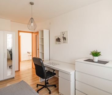 Warszawa Praga-Południe, Wspólna Droga - Photo 3