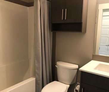 Furnished Studio near Downtown (#442) - Photo 4