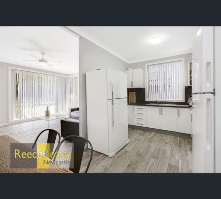 41A University Drive, Waratah West, NSW 2298 - Photo 1