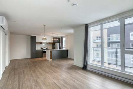 9675 Av. Papineau, app.321, H2B 3C8, H2B 3C8, Montréal - Photo 5