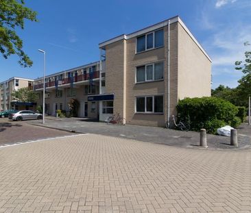 Jupiter 84 - Photo 6