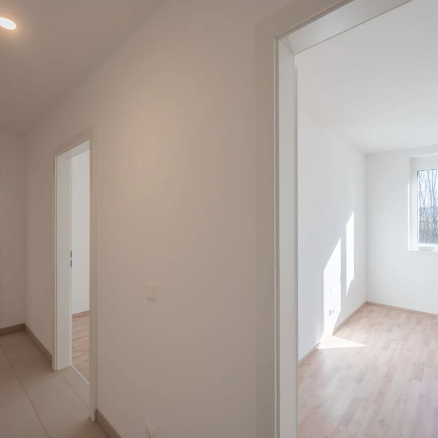 VIDEOTOUR: freundliche, helle 3 Zimmer Erstbezugswohnung + Balkon + Parkplätze! Go2Eisenstadt! - Foto 1