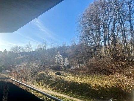 Charmant 2.5 pièces au 1er étage avec ascenseur à Saint Cergue - Photo 2