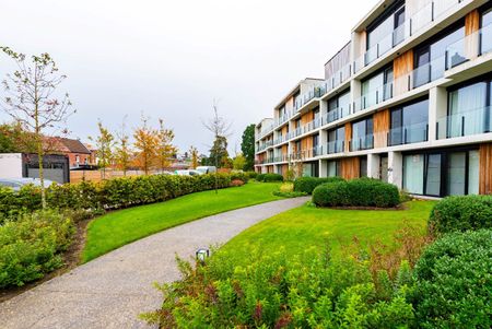 Wonen in een groene omgeving vlak bij het centrum van Beveren - Foto 5