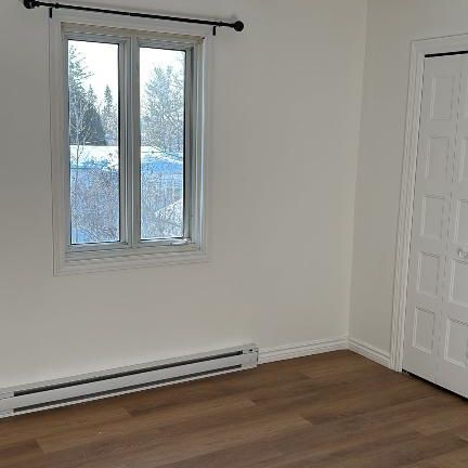 Appartement complètement renové à LOUER - Photo 4