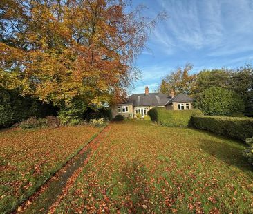 2 bedroom bungalow to rent - Photo 2