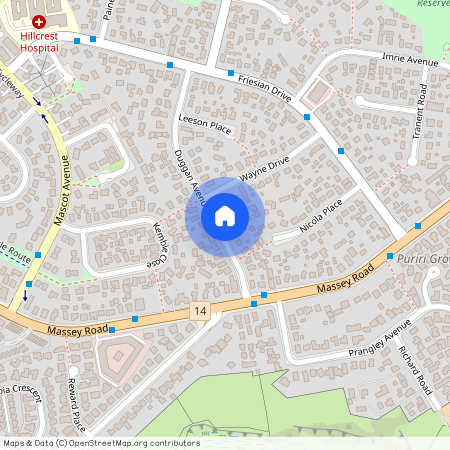 13A Duggan Avenue, Mangere, Manukau City