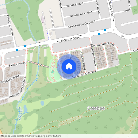 16 Piora Street, NSW 2761, Colebee