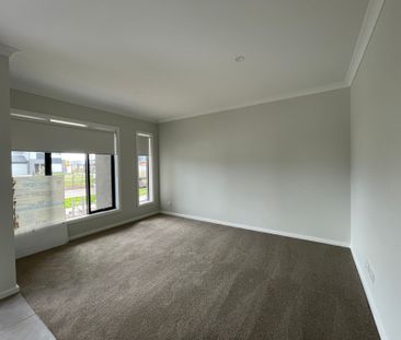 Ready to Move In! - Photo 4