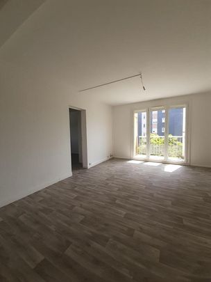 T5- 37 RUE GEORGES DE MANTEYER 38100 GRENOBLE - Photo 1