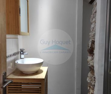 Location : appartement F2 à CARPENTRAS - Photo 4