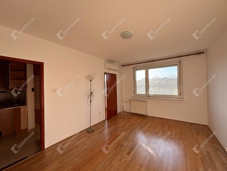 Győr, Kiadó Társasházi lakás (#180675) - Photo 5