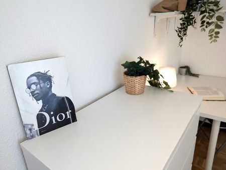 Calle de Lope de Rueda, Madrid, Community of Madrid 28009 - Photo 3