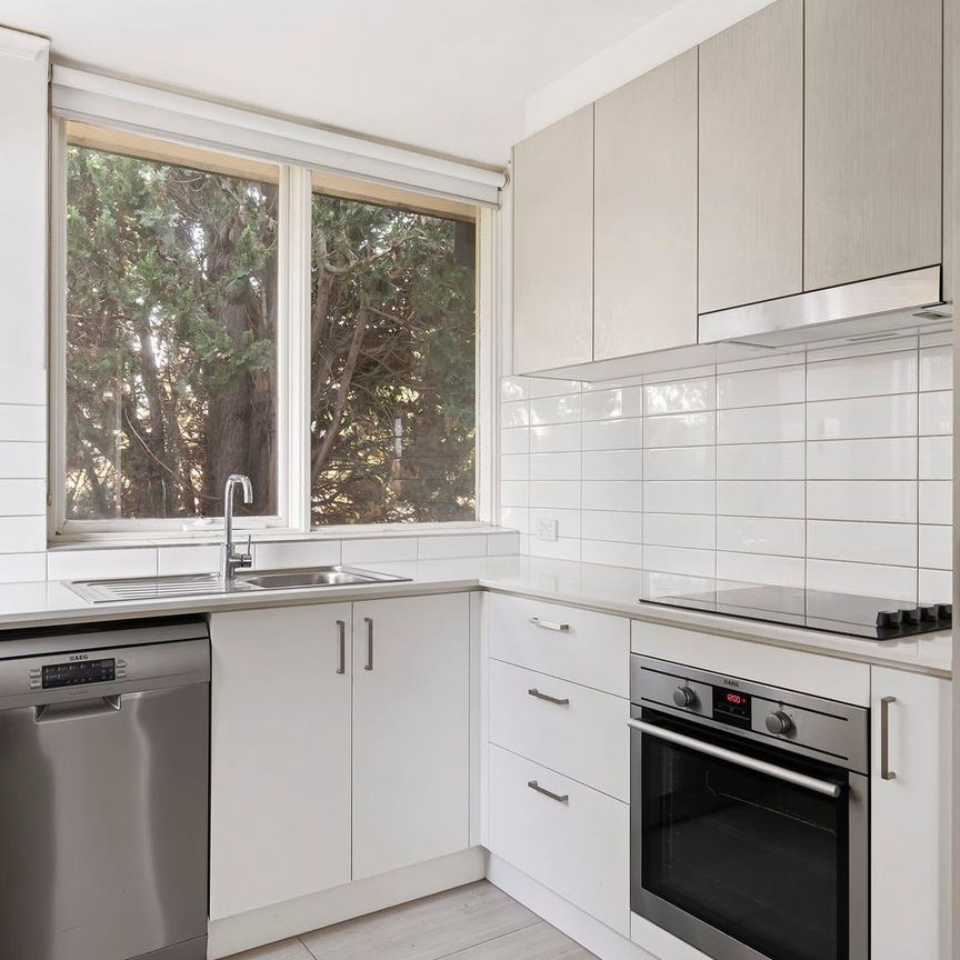 Spacious with a Leafy Outlook - Photo 1