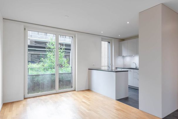 2.5 Zimmer, 53 m², 2. Stock - Photo 1