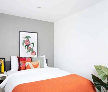 Classic Studio - Photo 6