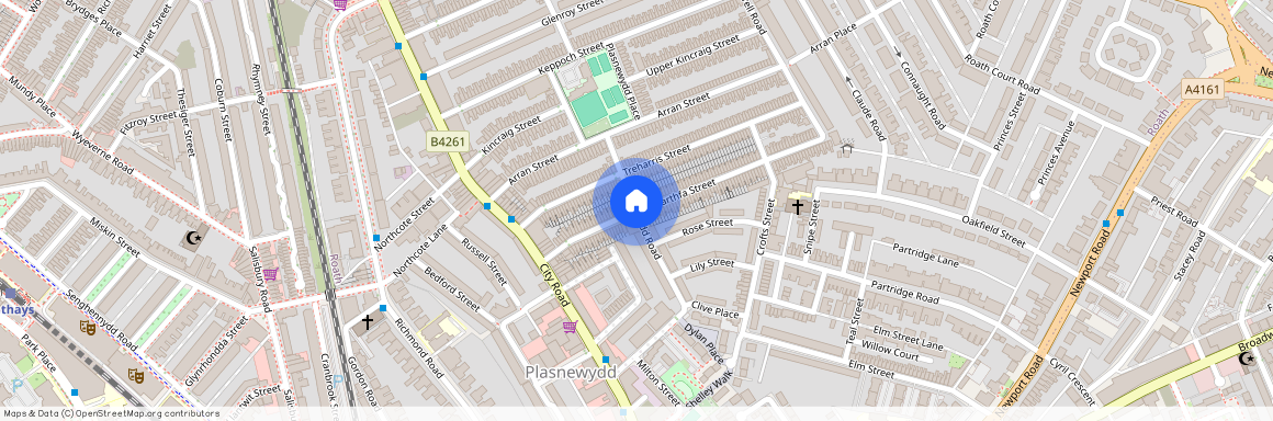 Cyfarthfa Street, Roath