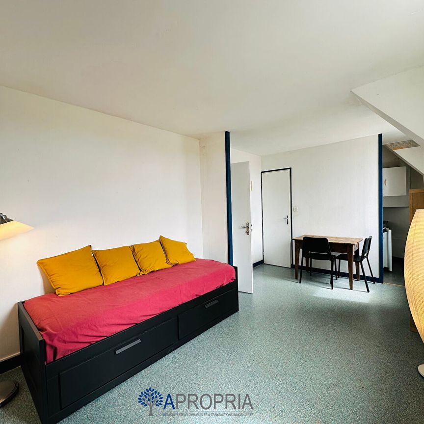 Location Appartement 1 pièce 20m² - Photo 1