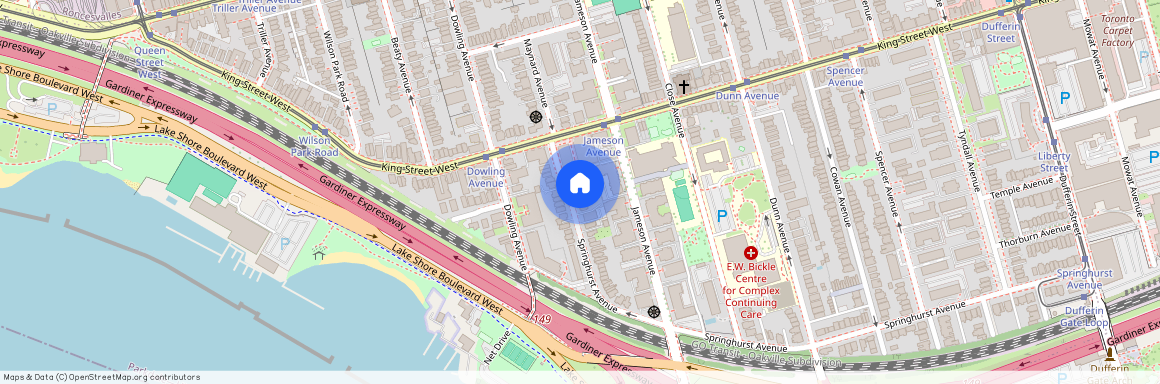 148 Springhurst, Parkdale, Toronto