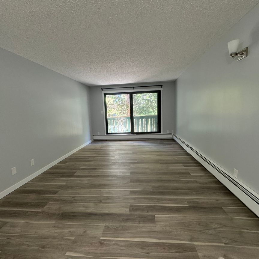 Modern and Spacious 2-Bedroom Apartment - SMALL PET FRIENDLY! - Photo 1