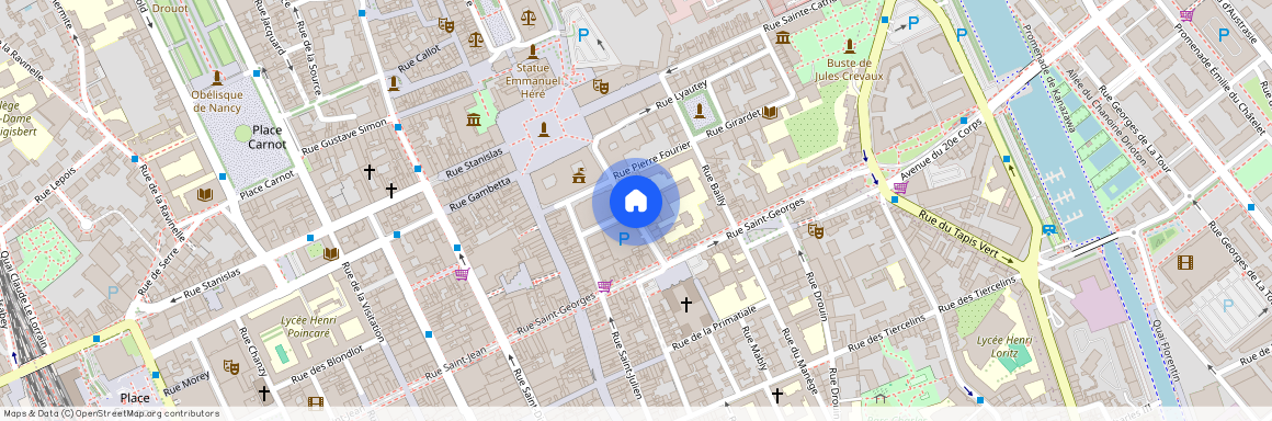 9-9 BIS RUE MAURICE BARRES, Charles Iii Nord Tiercelins St-Georges, Nancy