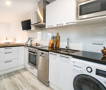 Modern Studio Apartment for Rent in Gulf Harbour - Photo 3