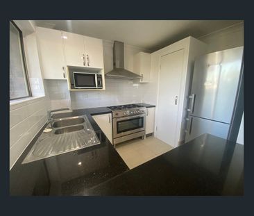 Renovated unit a short walk to Holland Park precinct - Photo 4