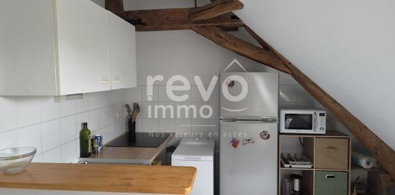 Location Appartement 2 pièces 38m² PELLOUAILLES LES VIGNES 49112 - Photo 2
