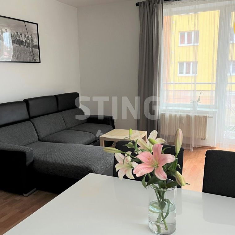 Byt 2+kk k pronájmu, Jihlava, ulice Kollárova - Photo 1
