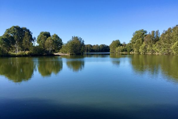 17A Tussock Crescent, Elanora QLD 4221 - House For Rent - $490 | Domain - Photo 1