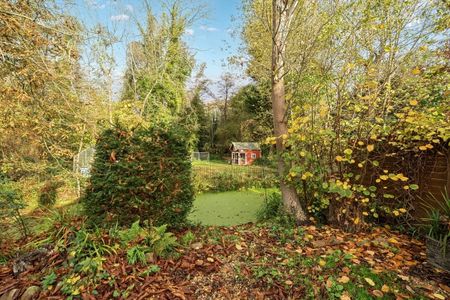 1 bedroom mews to rent - Photo 5