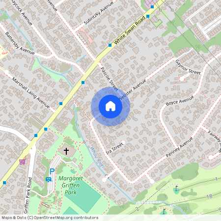 94 Webster Avenue, Mount Roskill, Auckland City