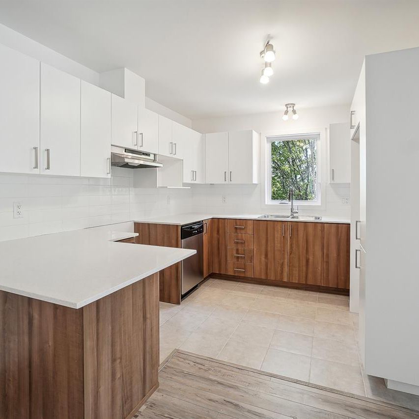 Oasis (Ouasis)Magnifique 4 1/2 - Photo 1