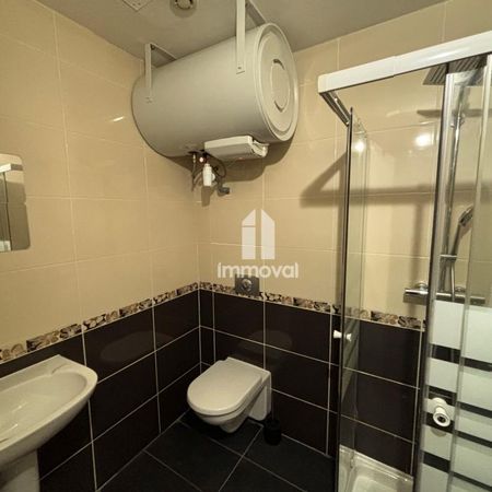 Location Appartement 1 pièce Meublé 21m² STRASBOURG 67000 - Photo 4