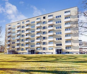 Generous 2.5-room apartment in a beautiful location! - Photo 4