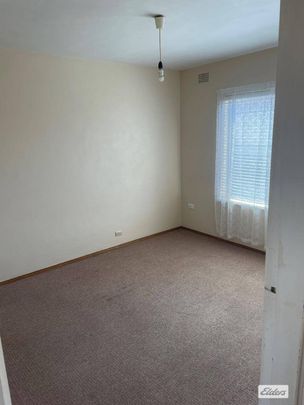 Large 2 bedroom CBD apartment - Photo 1