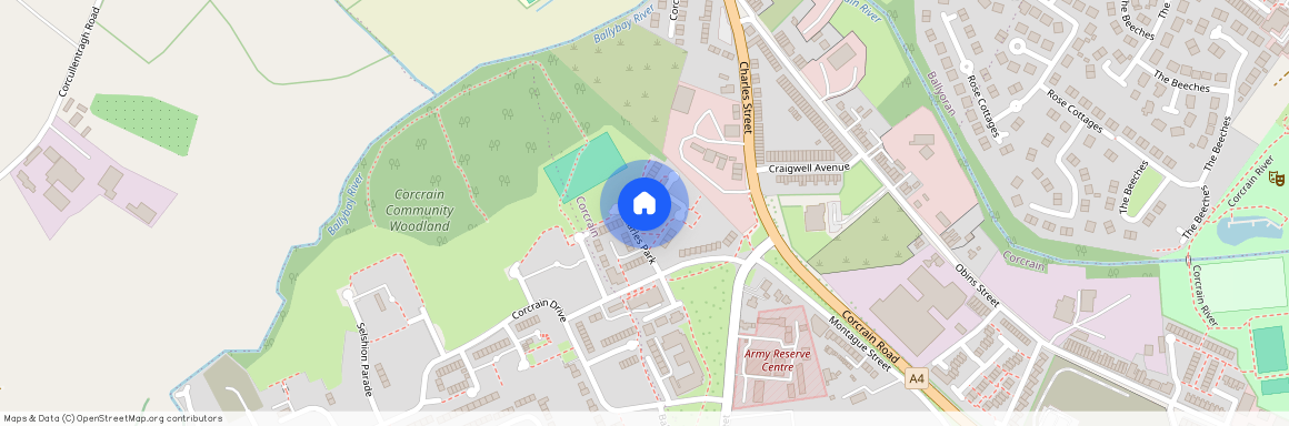 Charles Park, Portadown, BT62