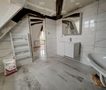 Location Appartement 1 pièce 22m² SELESTAT 67600 - Photo 5