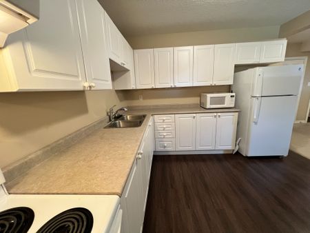 For Lease - 209 Dunsmore Lane Unit# Lower, Barrie, Ontario - Photo 5