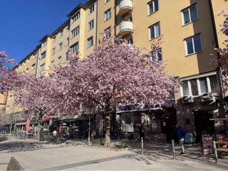 Södermalm - 1rok - tillsv - 14.950kr/mån - Photo 4