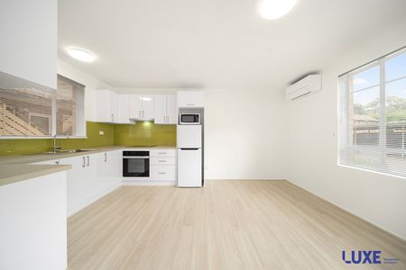 10/43 Gardiner Street, Downer ACT 2602 - Apartment For Rent | Domain - Photo 5