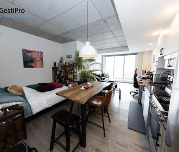 175 St-Vallier Est – Le Gecko - Photo 2