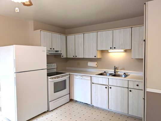 Strath Lane, Dartmouth 12-076 - Photo 1