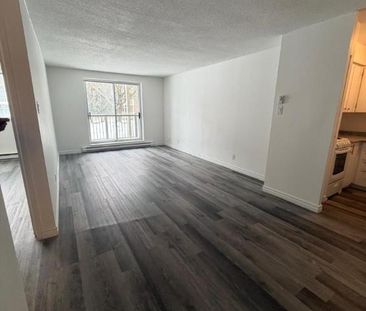 1 CH - 1 SDB - Gatineau - $1,499 /mo - Photo 3
