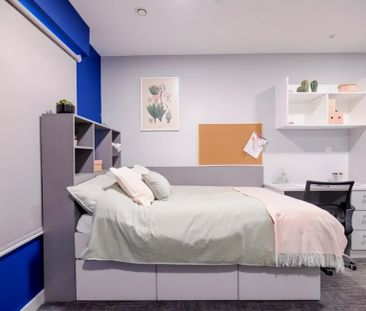 Standard Studio - Photo 2