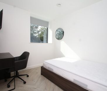 3 bed Shared Flat for Rent - Photo 4