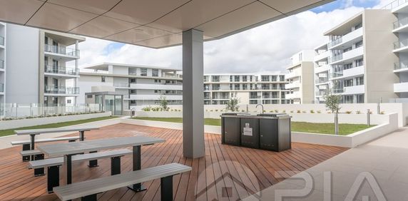 601/27 Cook Street TURRELLA - Photo 2