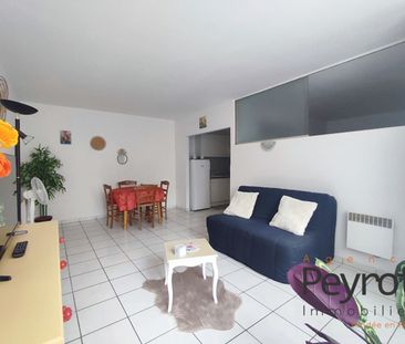 Location Appartement 2 pièces 55m² PERPIGNAN 66000 - Photo 1
